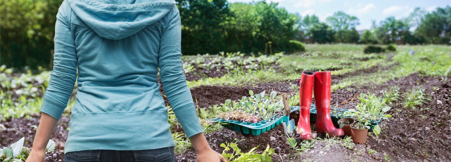 woman tending to her garden